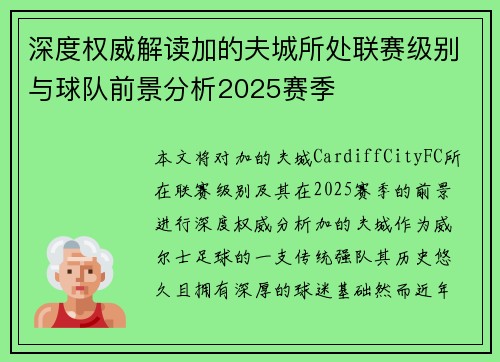 深度权威解读加的夫城所处联赛级别与球队前景分析2025赛季