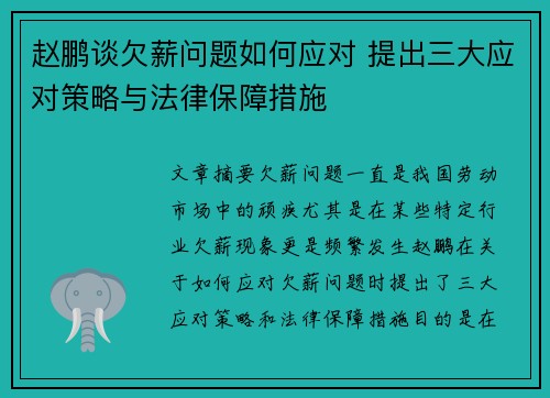 赵鹏谈欠薪问题如何应对 提出三大应对策略与法律保障措施 赵鹏谈欠薪问题如何应对 提出三大应对策略与法律保障措施